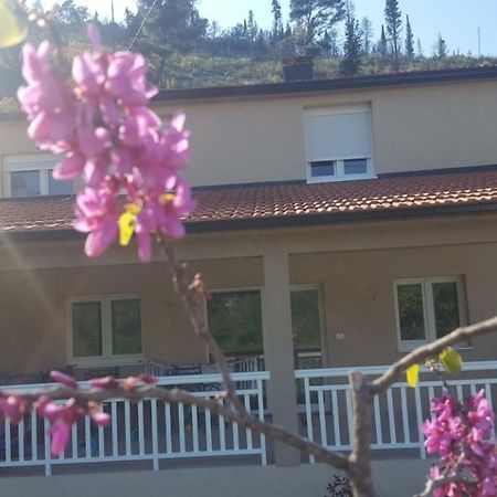 Apartment Marta Čapljina エクステリア 写真