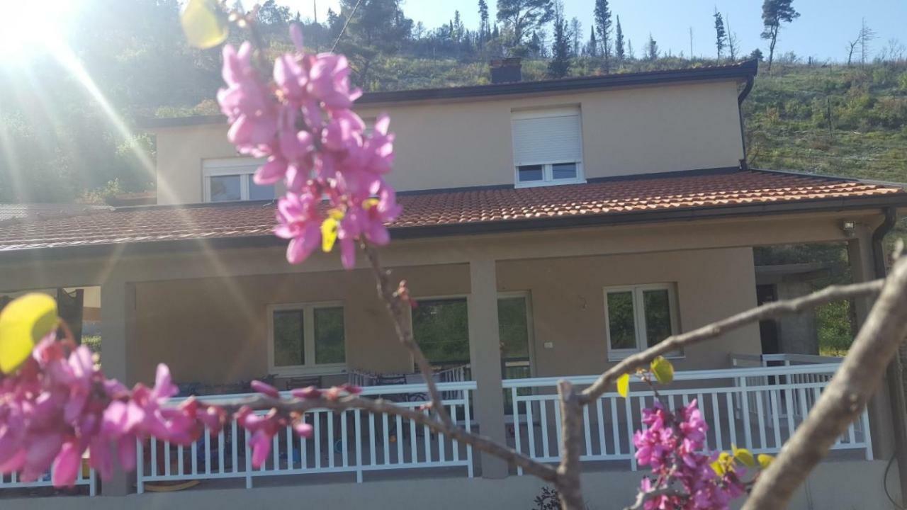 Apartment Marta Čapljina エクステリア 写真